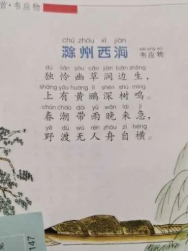 老师反馈1.jpg